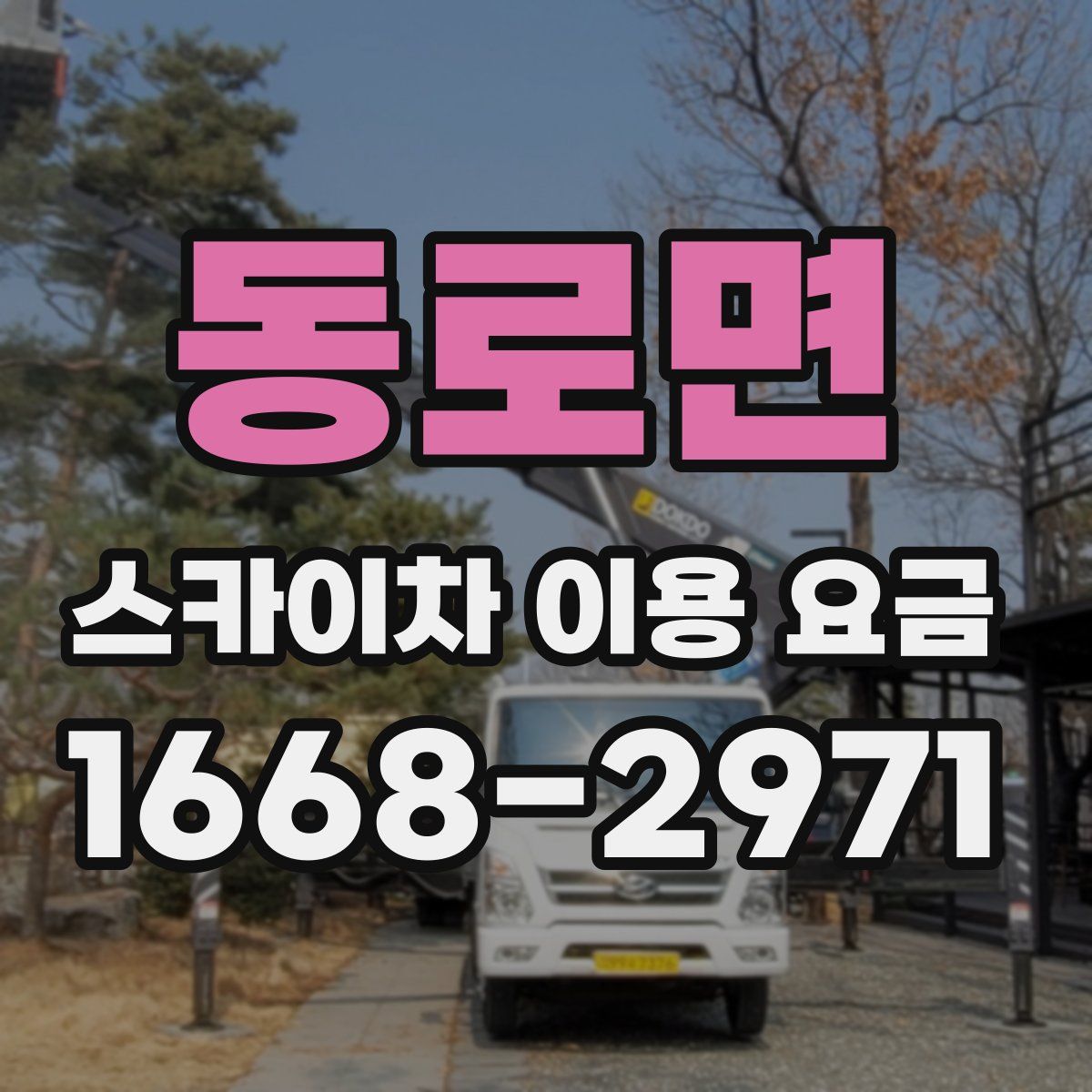 동로면 스카이차 이용 요금