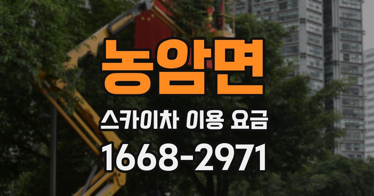 농암면 스카이차 이용 요금