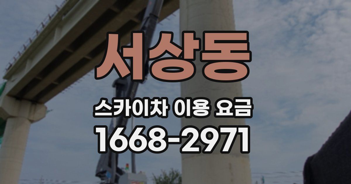 서상동 스카이차 이용 요금
