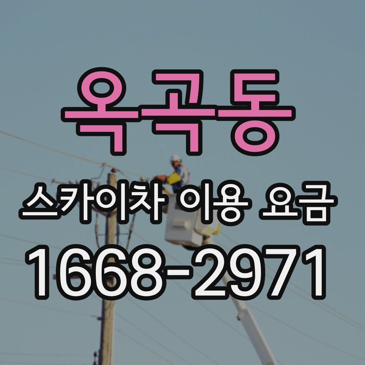 옥곡동 스카이차 이용 요금