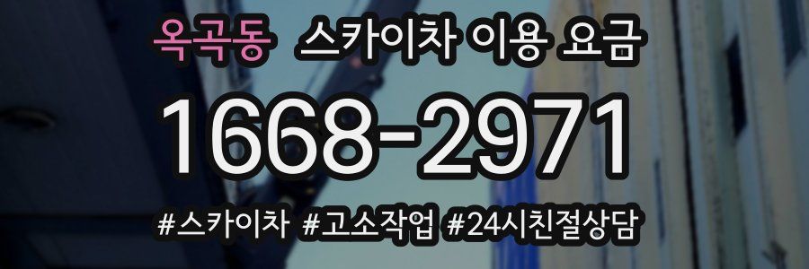 옥곡동 스카이차 이용 요금