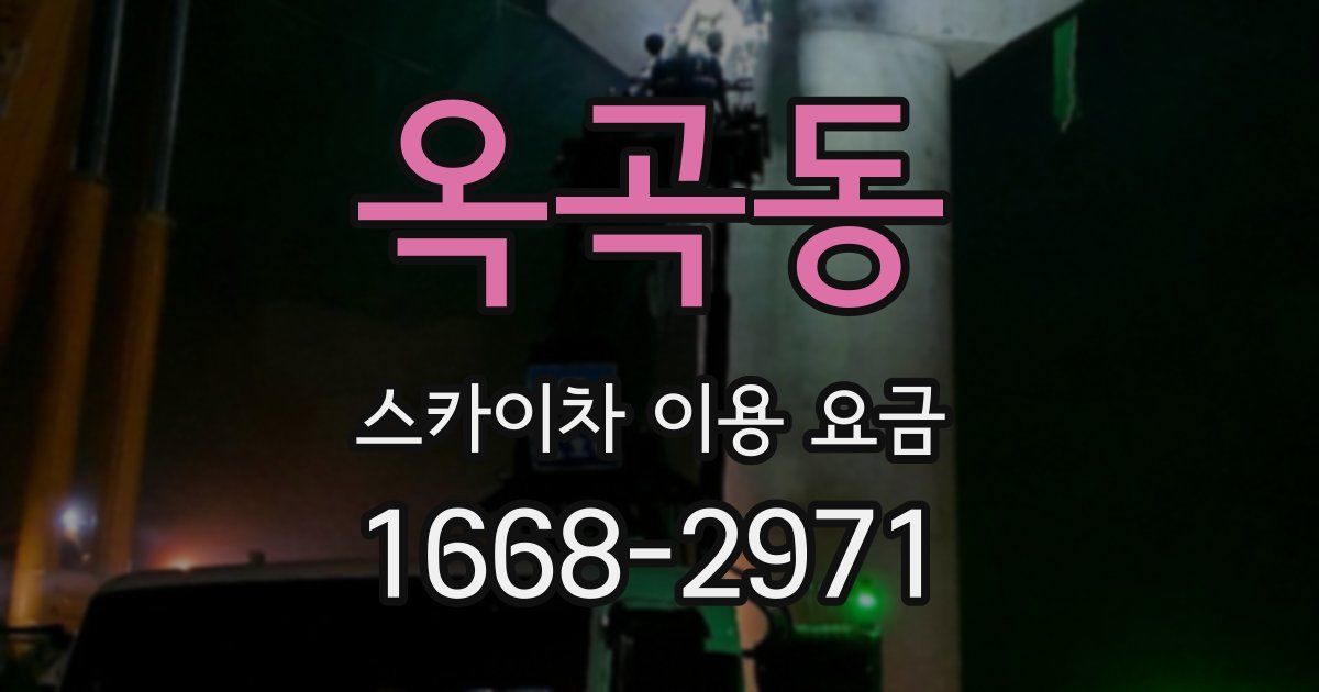 옥곡동 스카이차 이용 요금