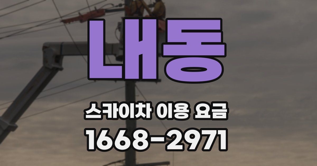 내동 스카이차 이용 요금