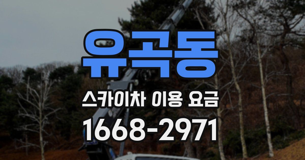 유곡동 스카이차 이용 요금