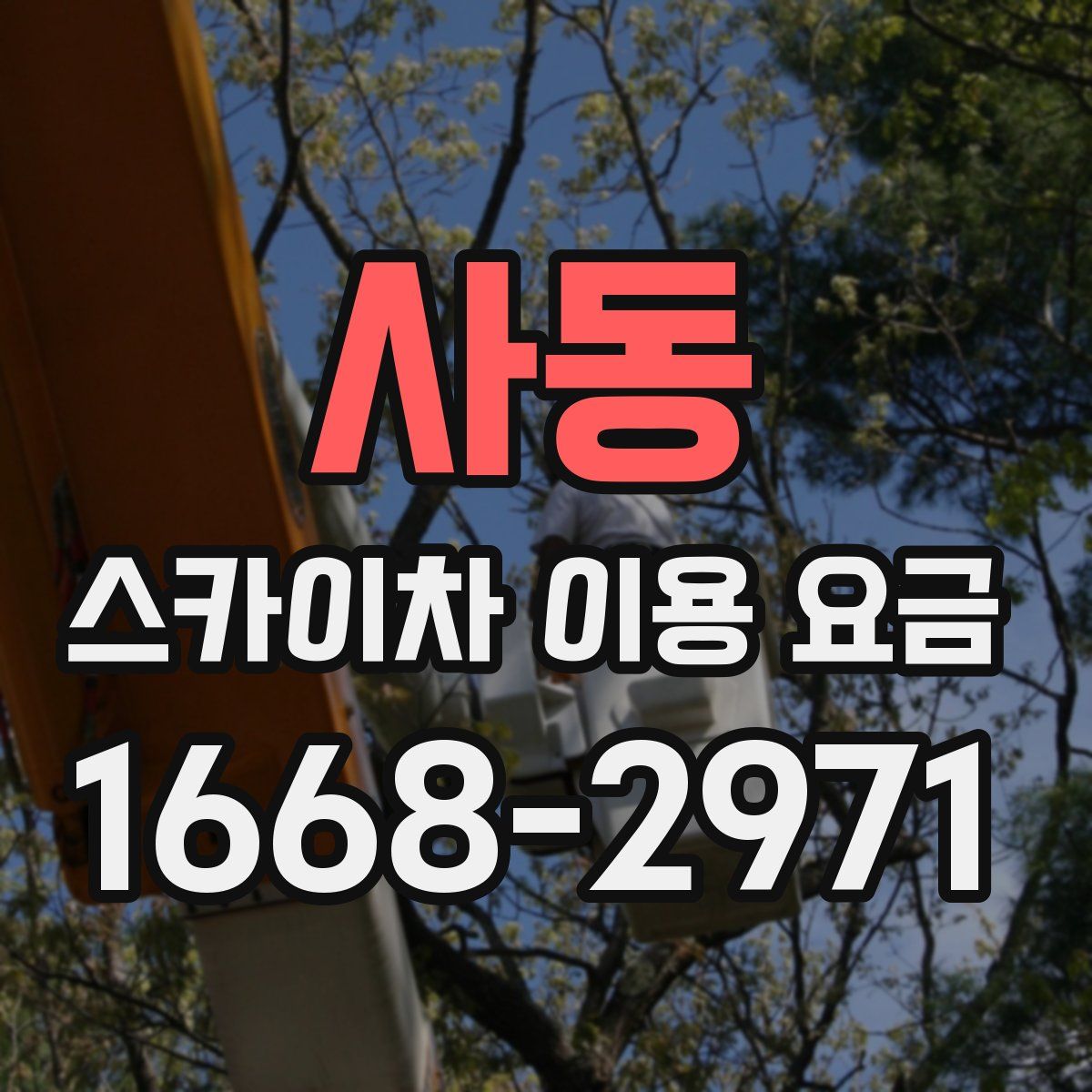 사동 스카이차 이용 요금