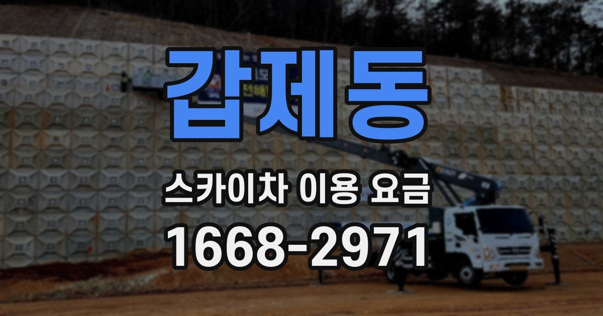 갑제동 스카이차 이용 요금