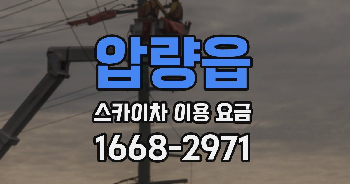 압량읍 스카이차 이용 요금