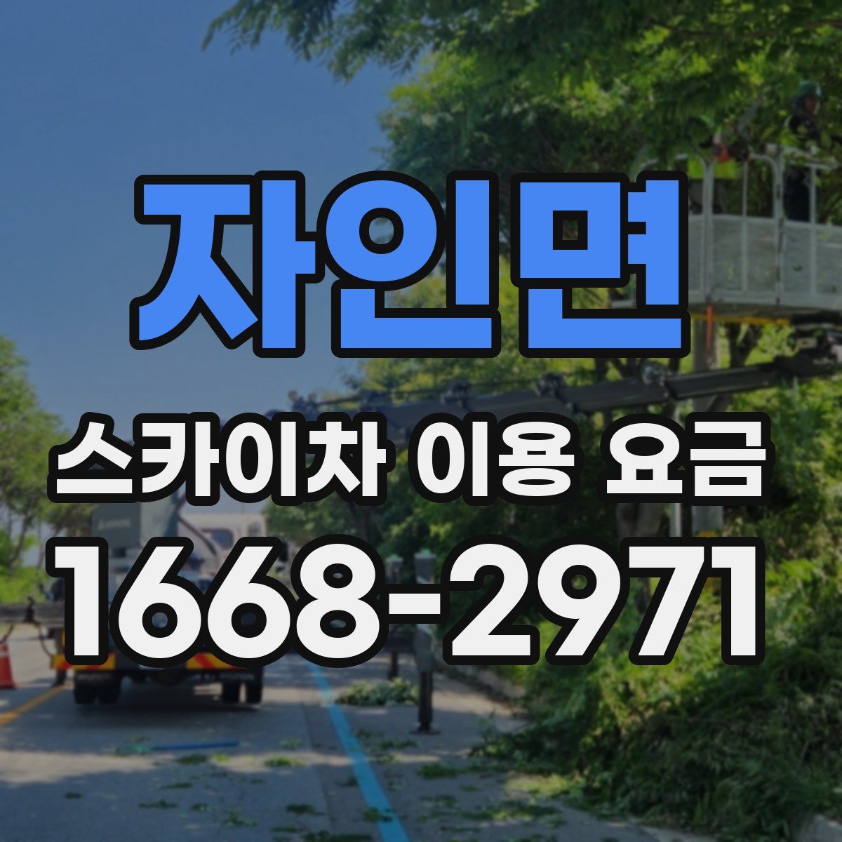 자인면 스카이차 이용 요금