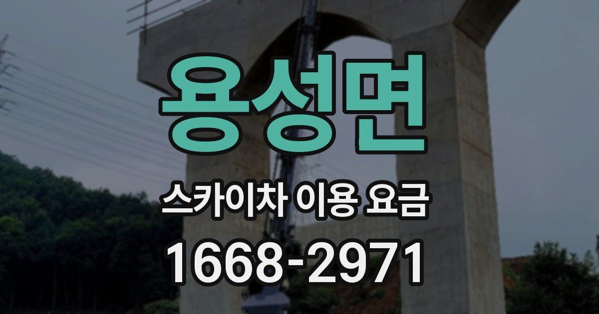 용성면 스카이차 이용 요금