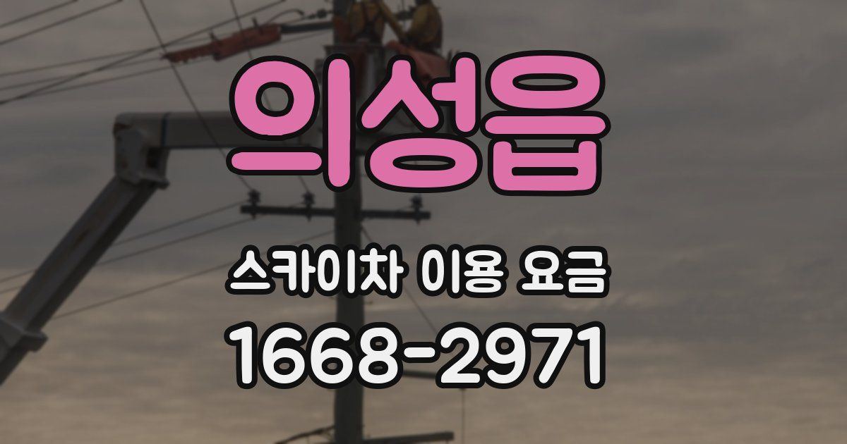 의성읍 스카이차 이용 요금