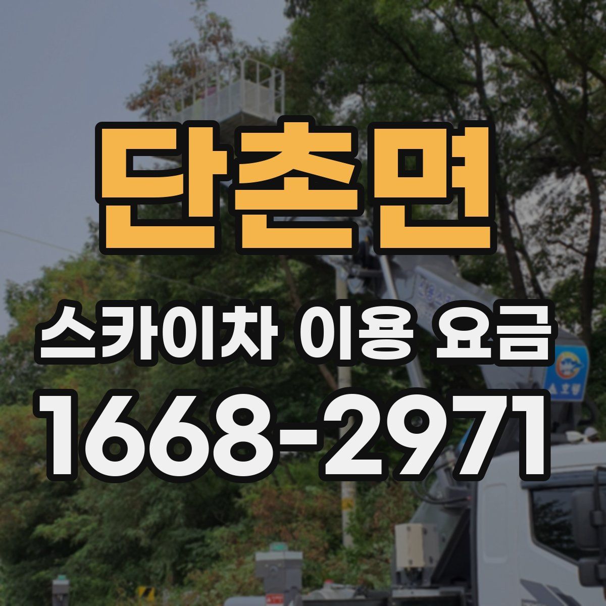 단촌면 스카이차 이용 요금