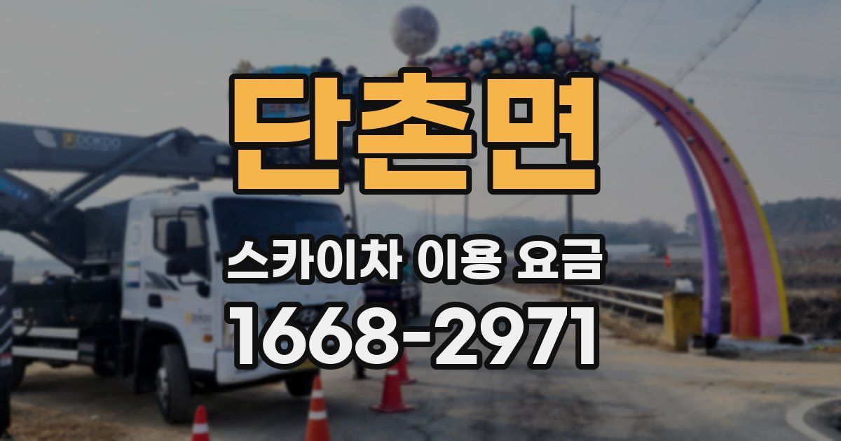 단촌면 스카이차 이용 요금
