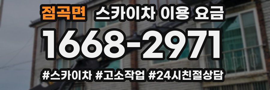 점곡면 스카이차 이용 요금