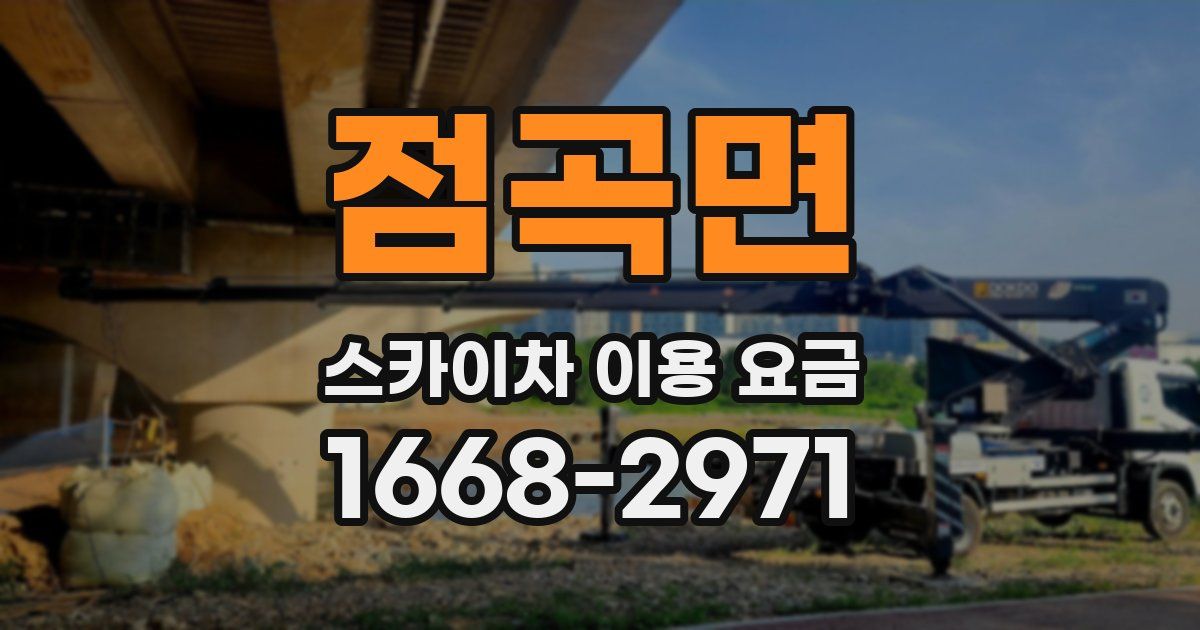 점곡면 스카이차 이용 요금