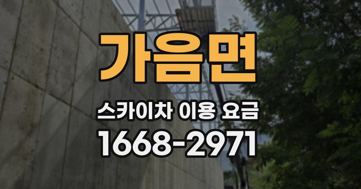 가음면 스카이차 이용 요금