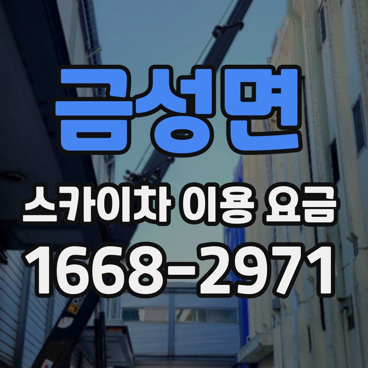 금성면 스카이차 이용 요금