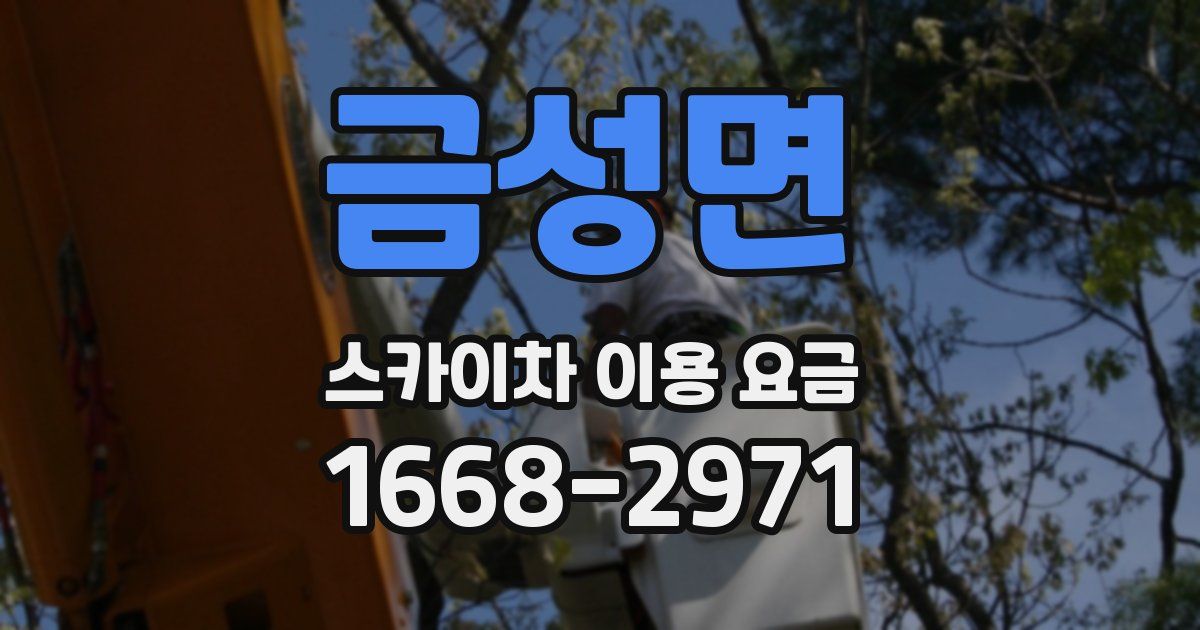 금성면 스카이차 이용 요금