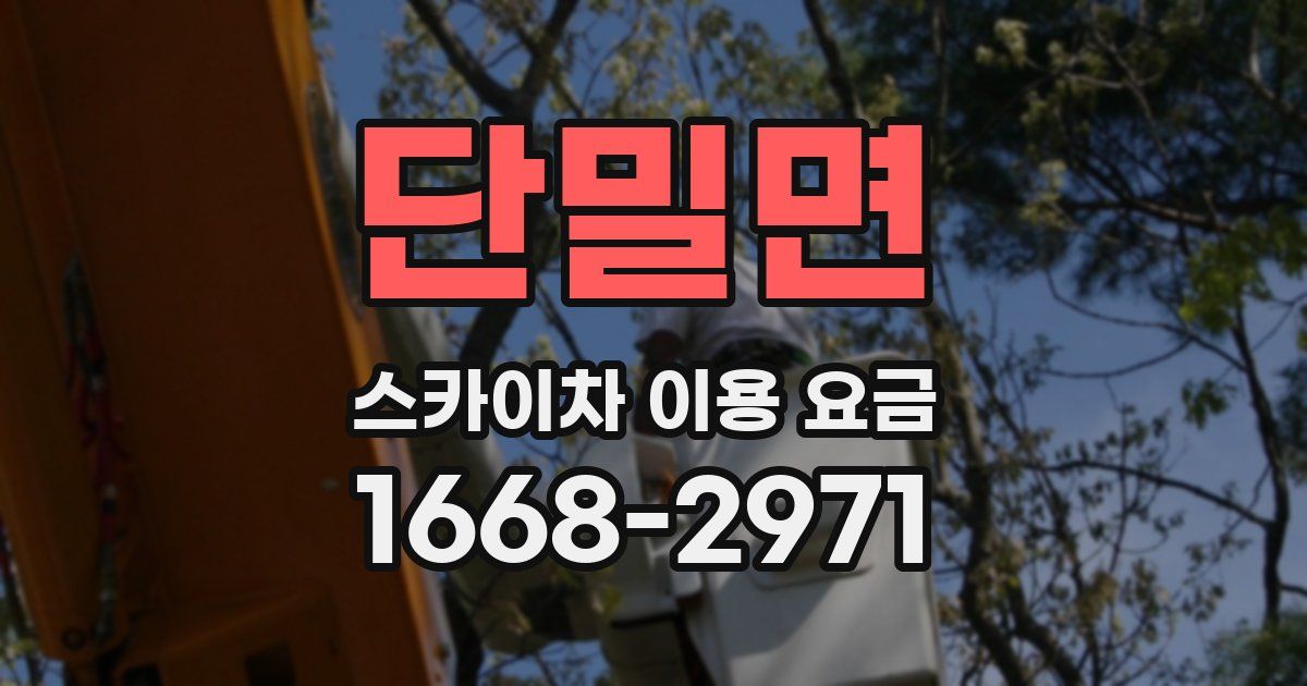 단밀면 스카이차 이용 요금