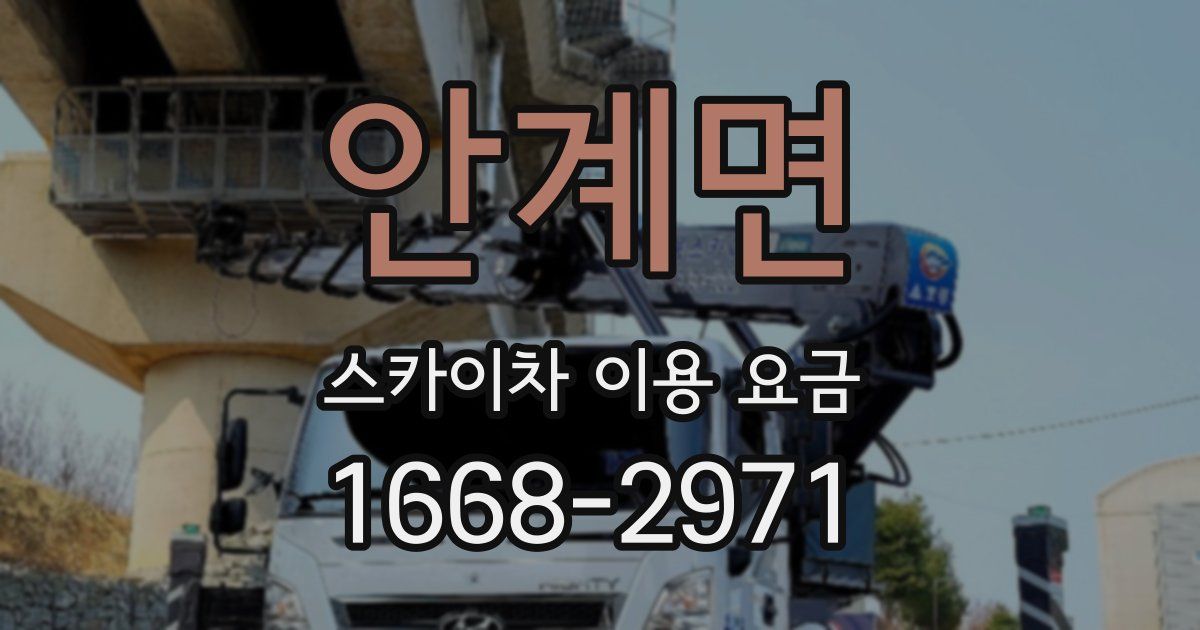 안계면 스카이차 이용 요금