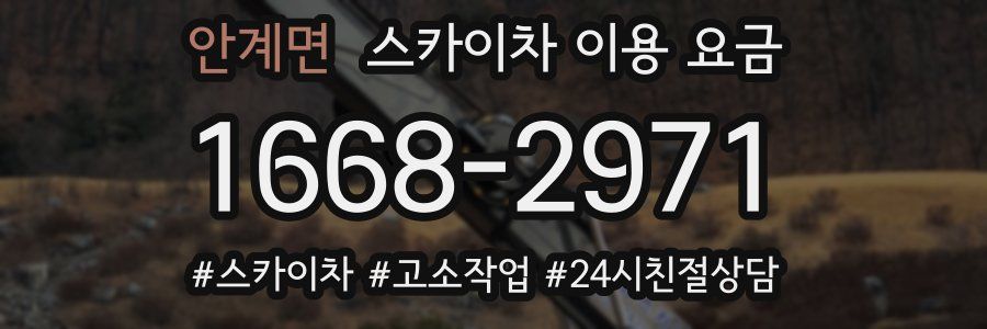 안계면 스카이차 이용 요금