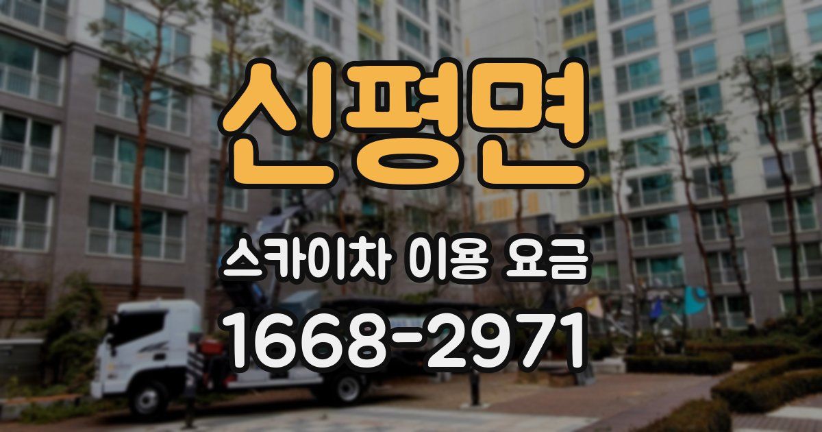 신평면 스카이차 이용 요금