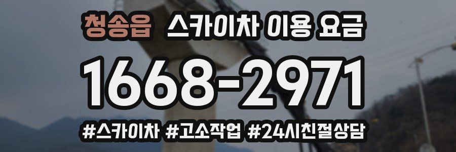 청송읍 스카이차 이용 요금
