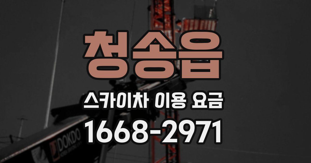청송읍 스카이차 이용 요금