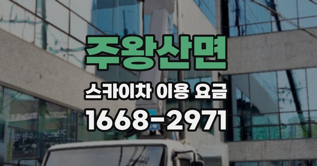 주왕산면 스카이차 이용 요금
