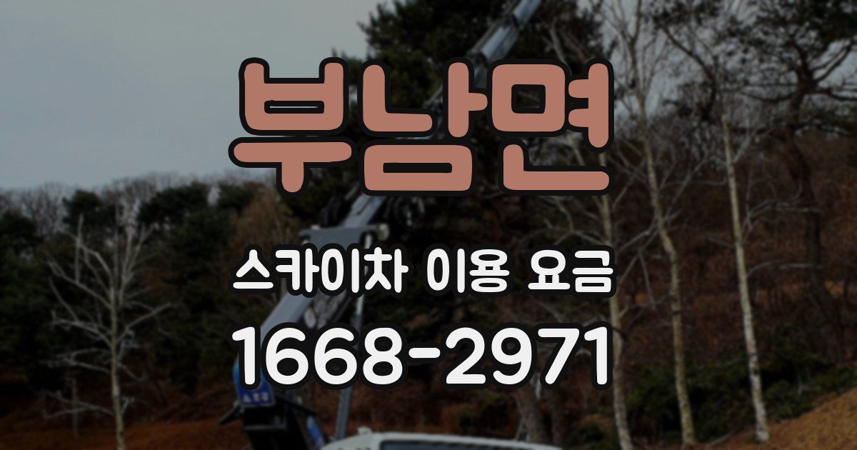 부남면 스카이차 이용 요금