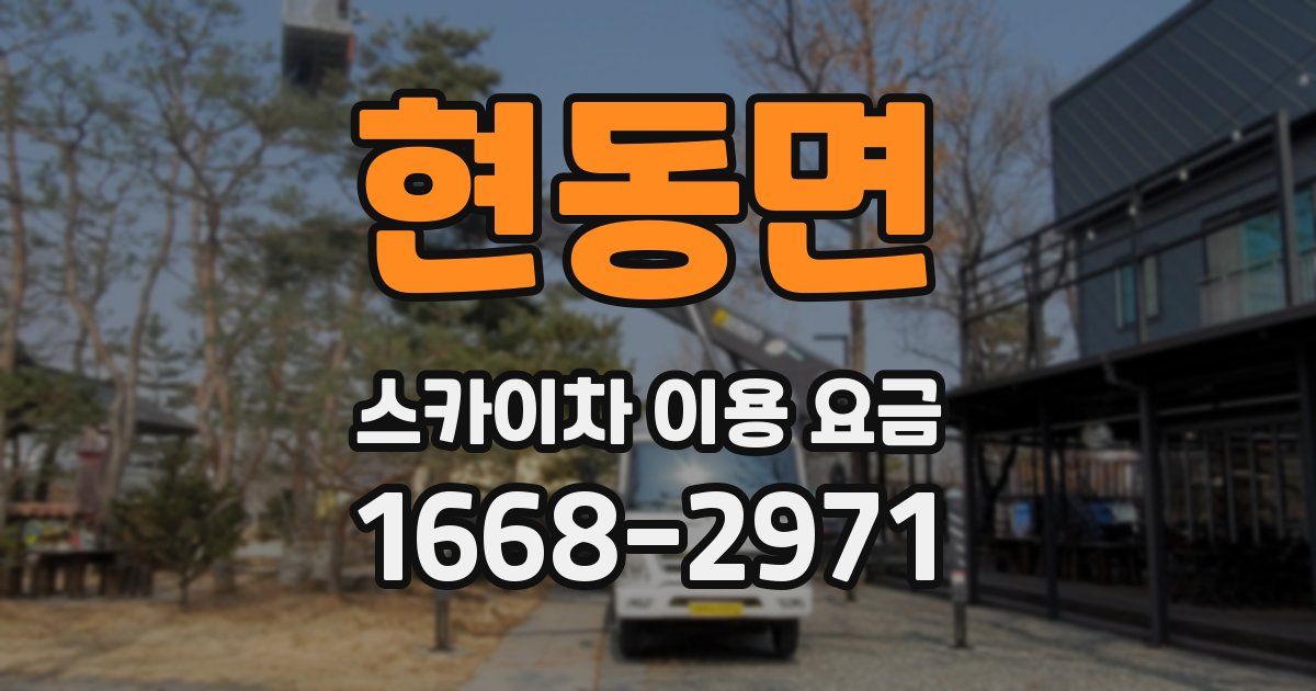 현동면 스카이차 이용 요금