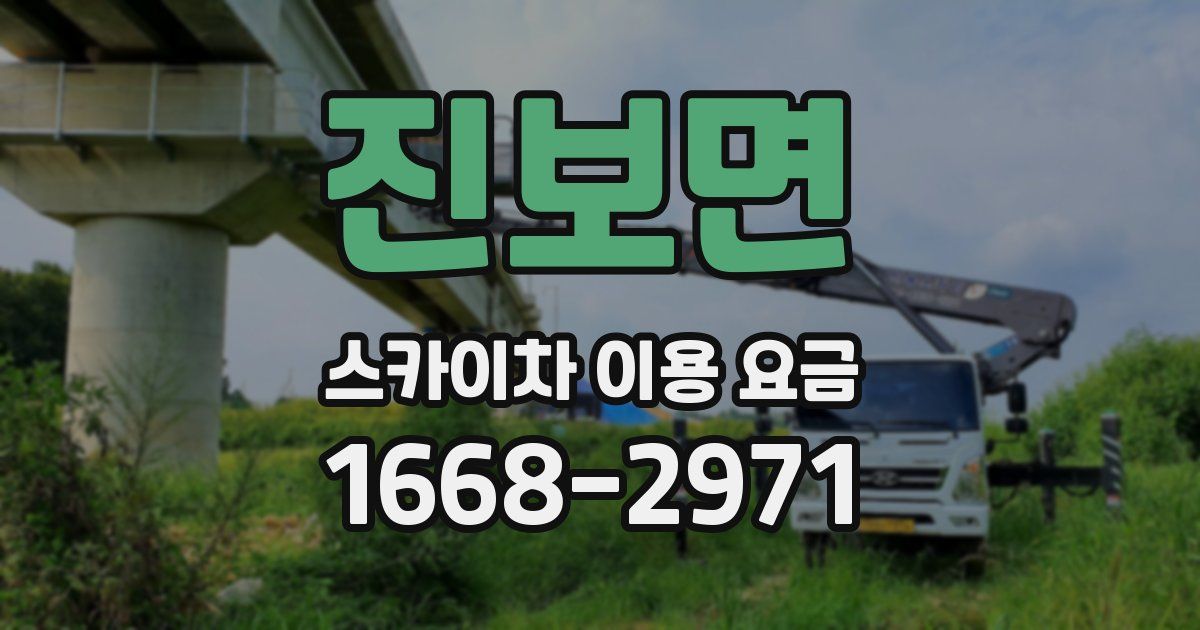 진보면 스카이차 이용 요금