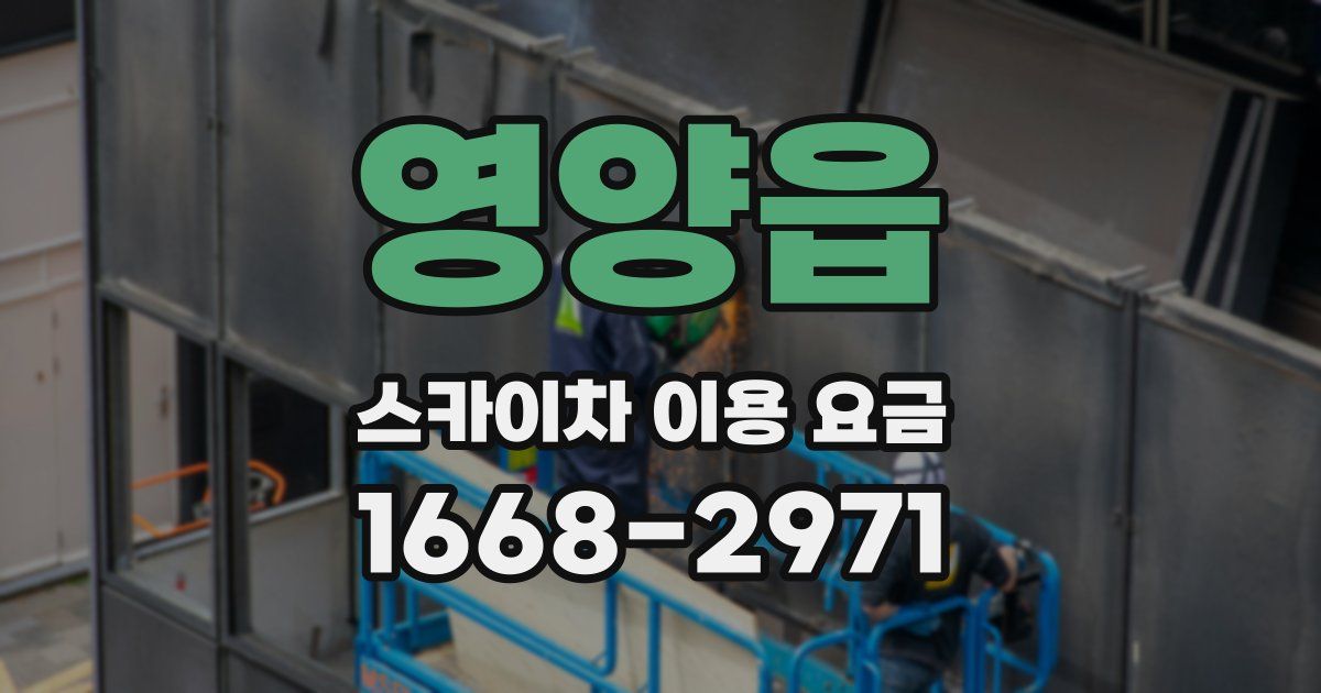 영양읍 스카이차 이용 요금
