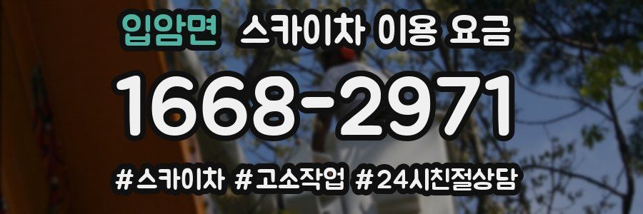 입암면 스카이차 이용 요금
