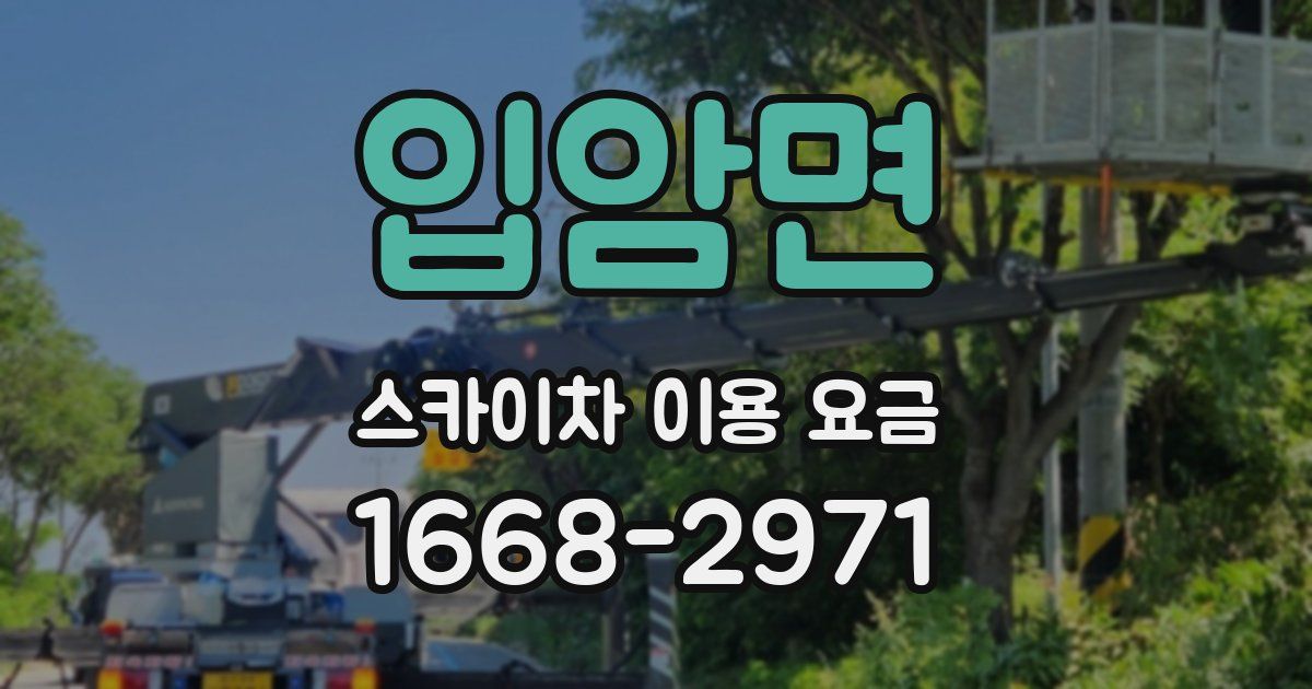 입암면 스카이차 이용 요금