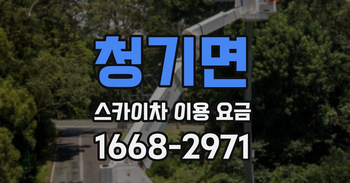 청기면 스카이차 이용 요금