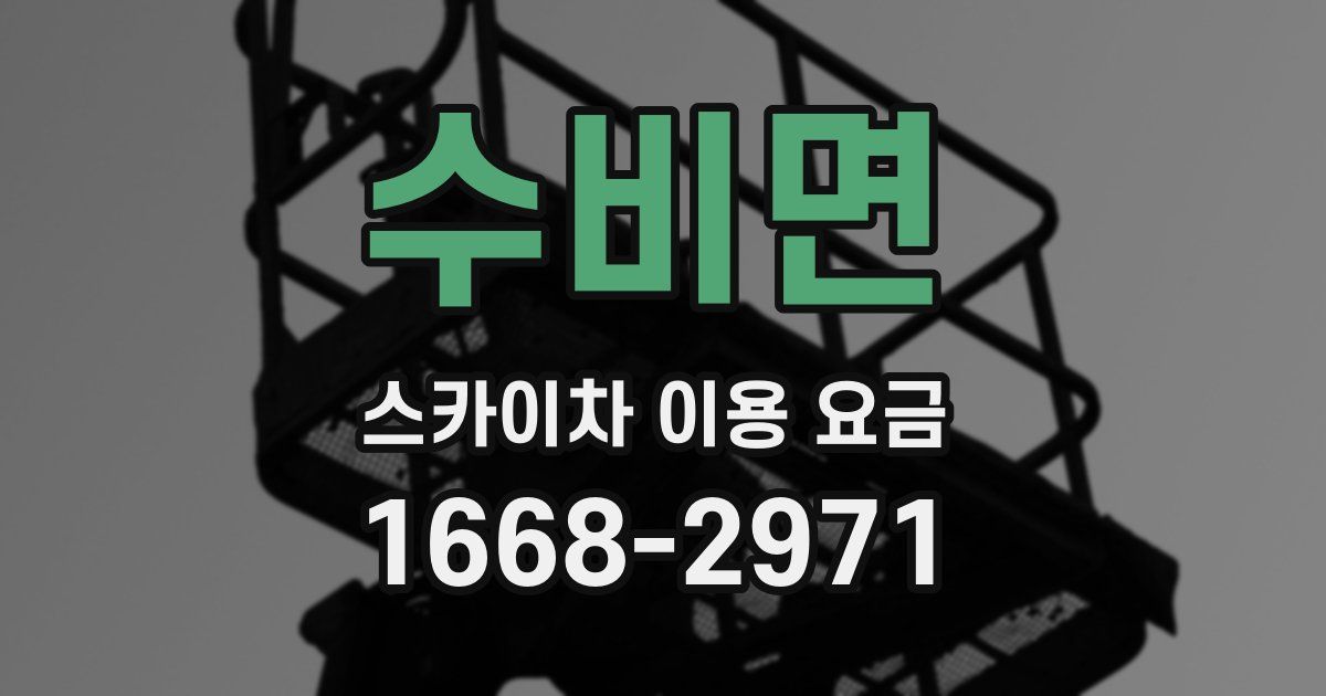 수비면 스카이차 이용 요금