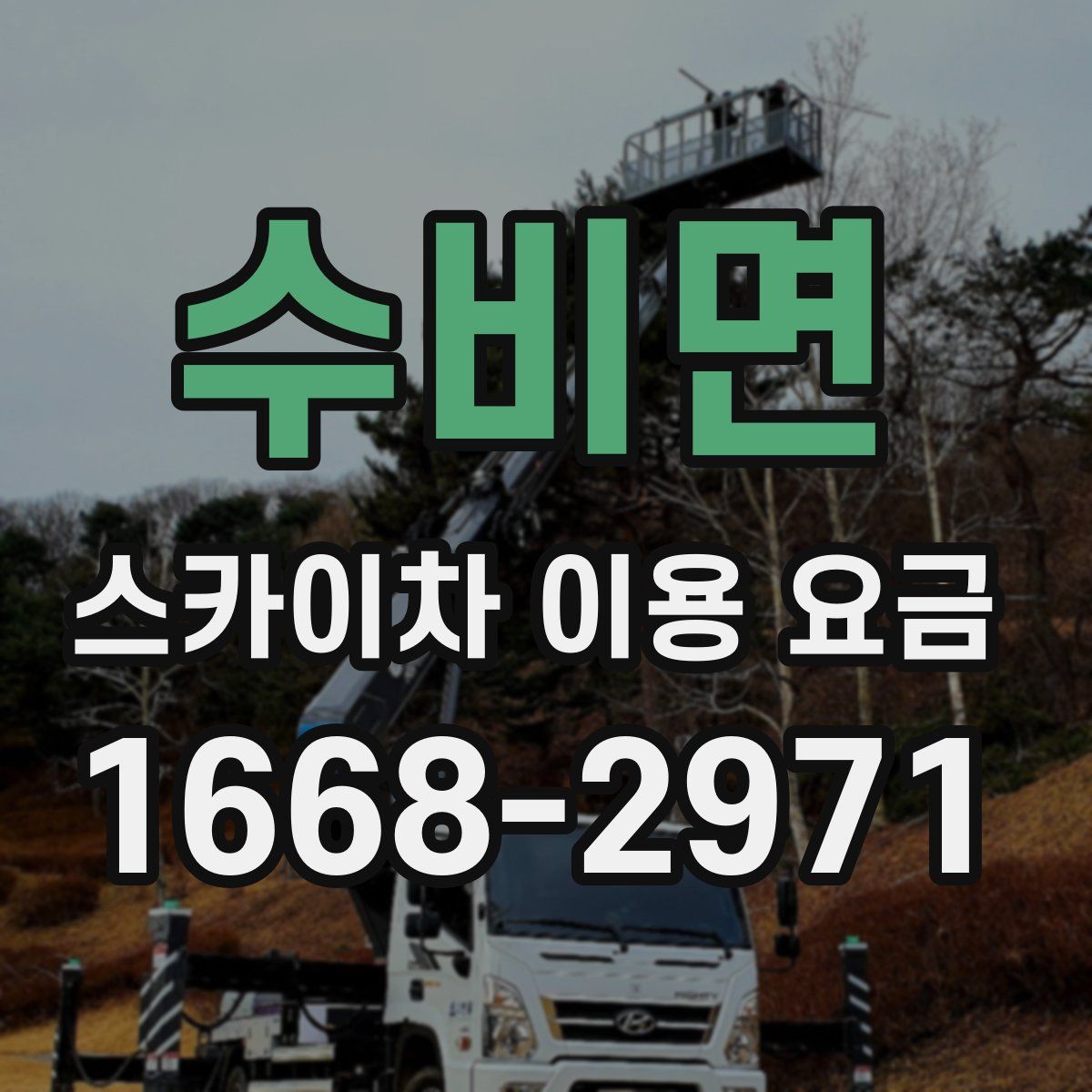 수비면 스카이차 이용 요금