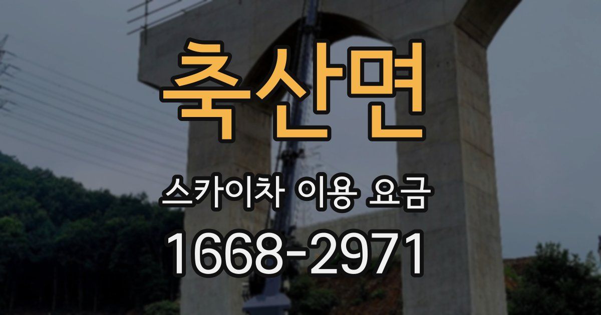 축산면 스카이차 이용 요금