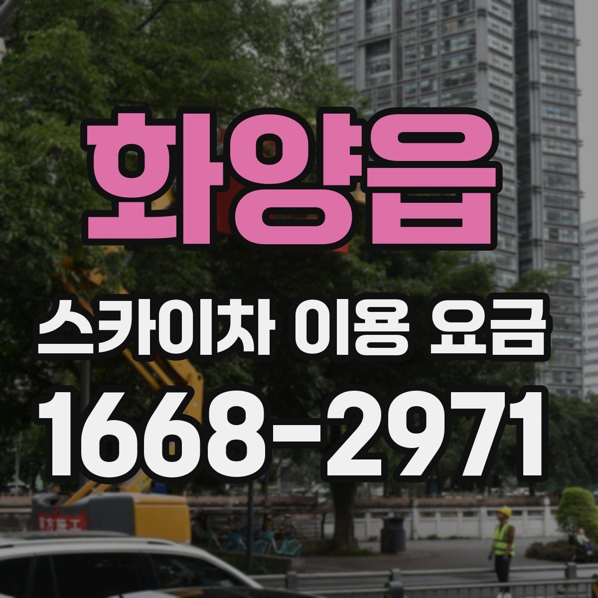 화양읍 스카이차 이용 요금
