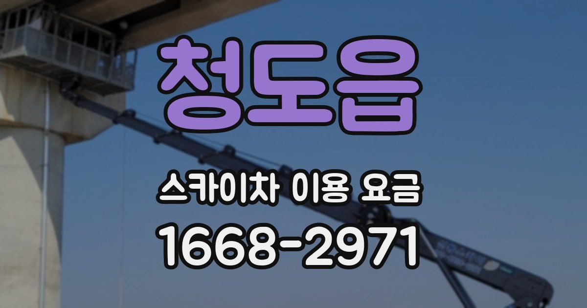 청도읍 스카이차 이용 요금