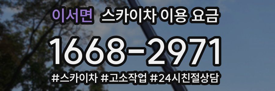 이서면 스카이차 이용 요금