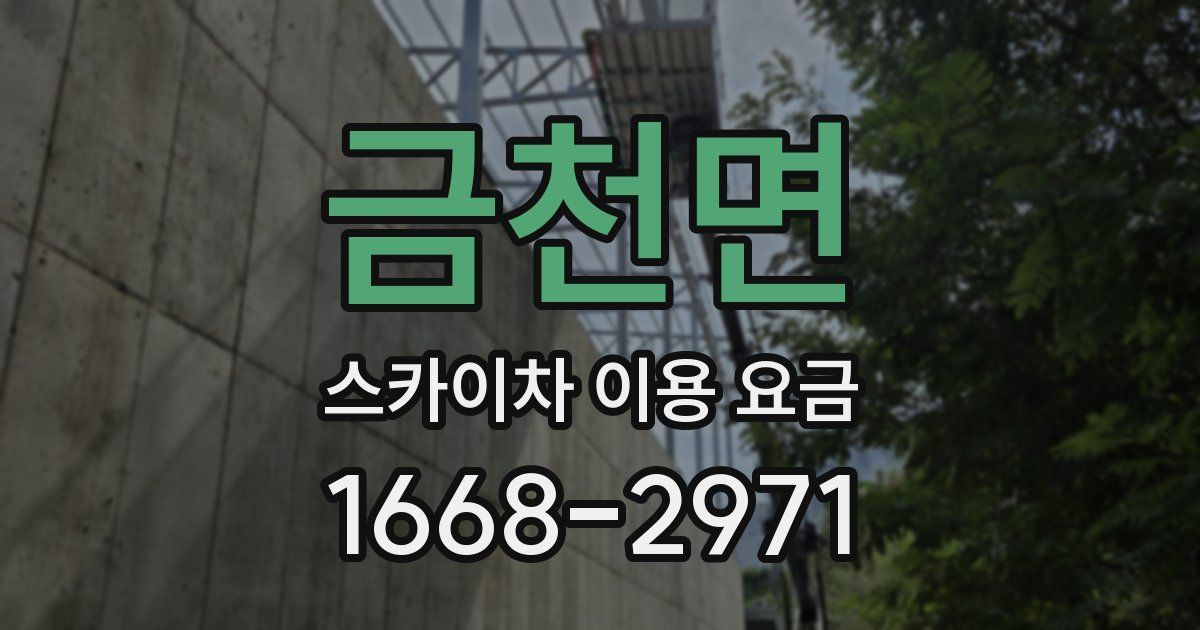 금천면 스카이차 이용 요금