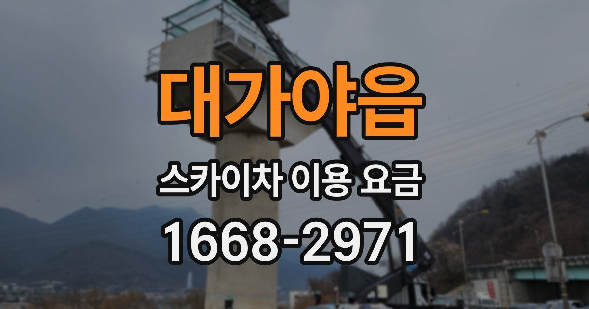 대가야읍 스카이차 이용 요금