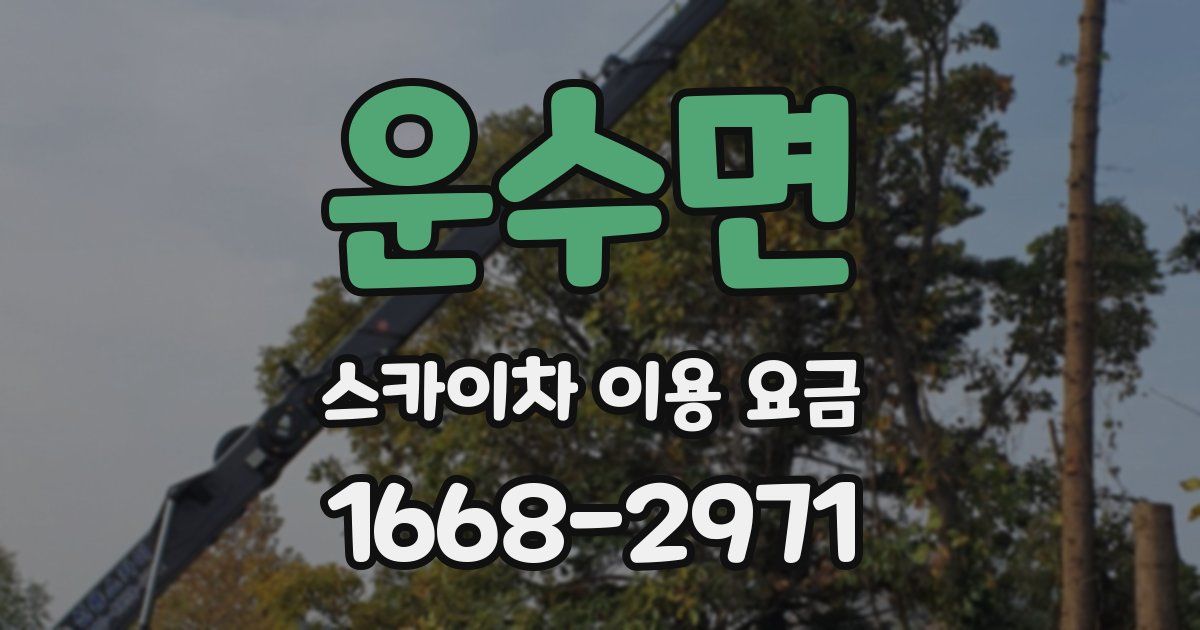 운수면 스카이차 이용 요금