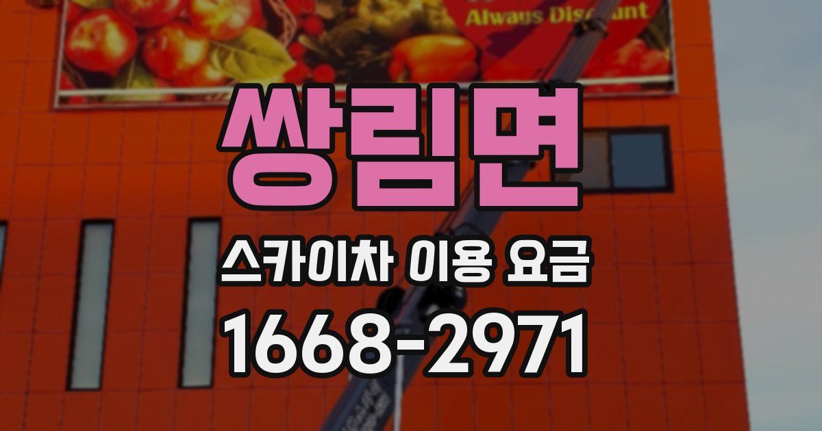 쌍림면 스카이차 이용 요금