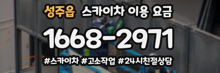 성주읍 스카이차 이용 요금
