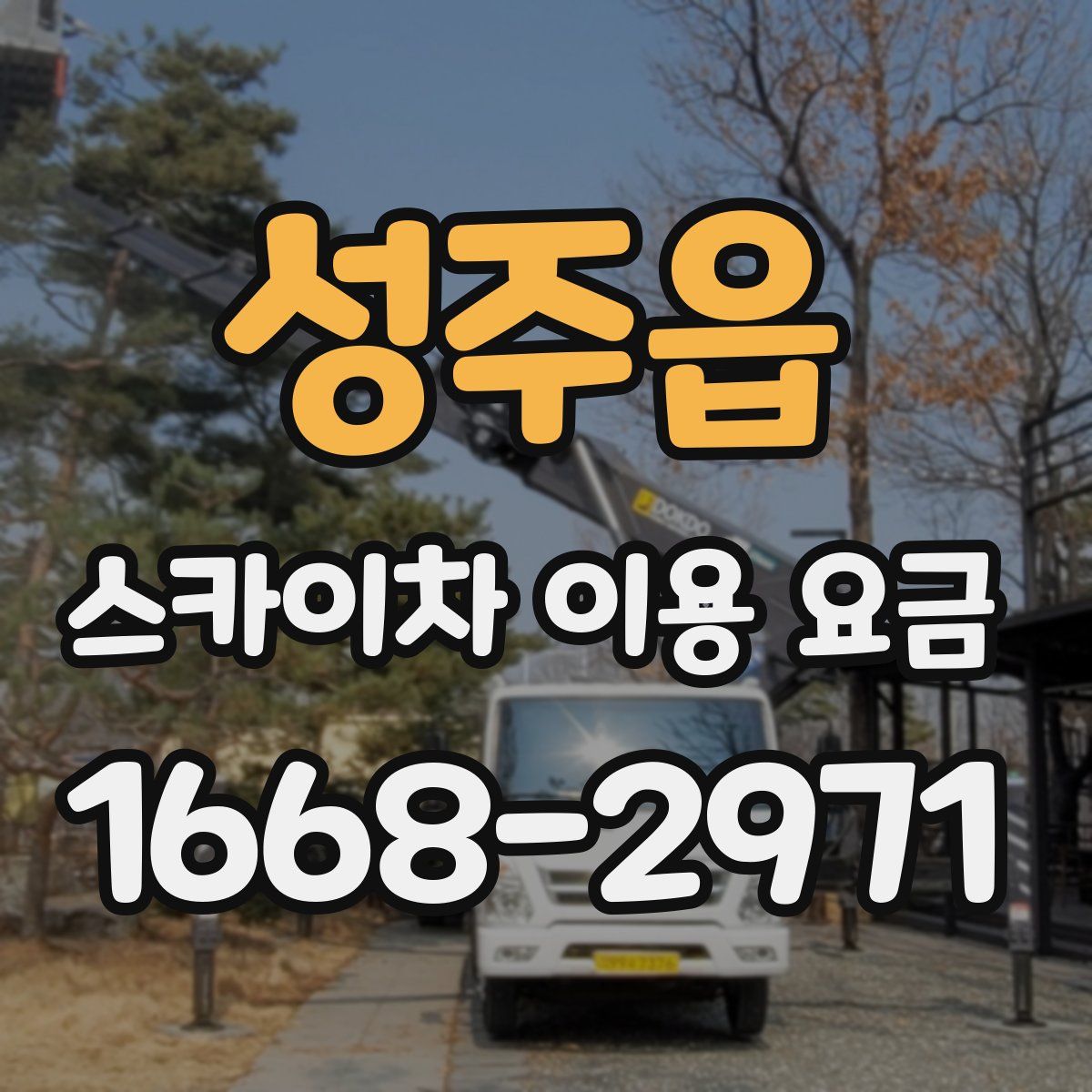성주읍 스카이차 이용 요금