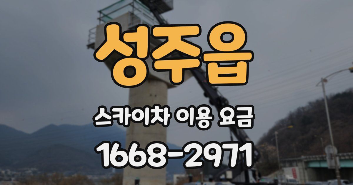 성주읍 스카이차 이용 요금