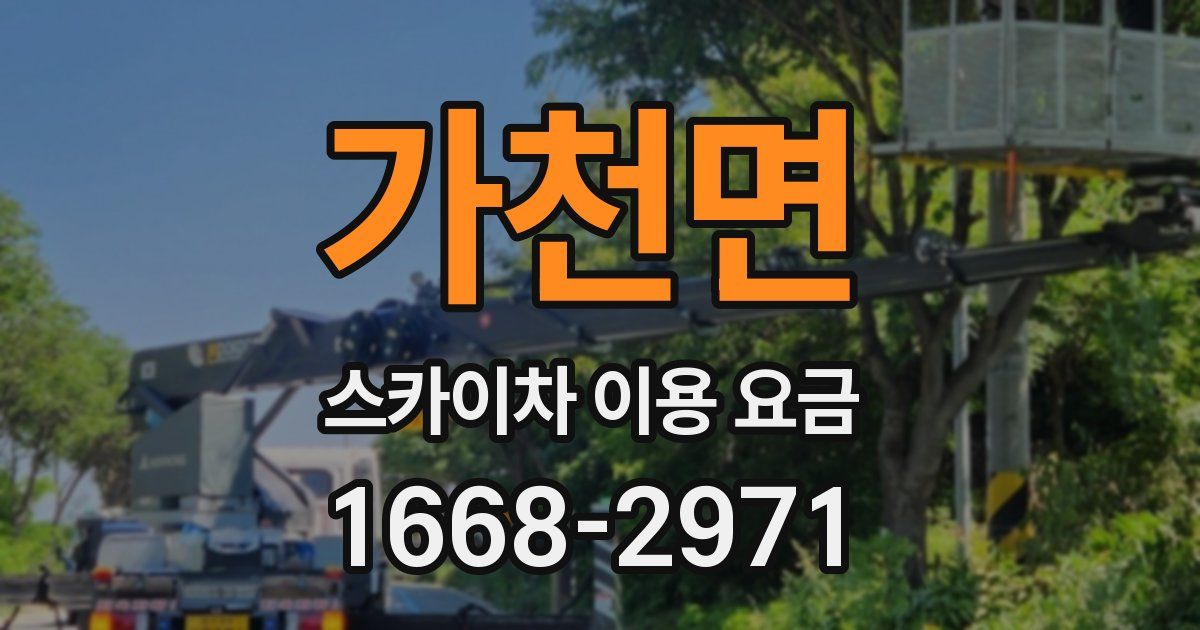 가천면 스카이차 이용 요금