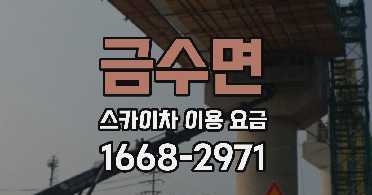 금수면 스카이차 이용 요금
